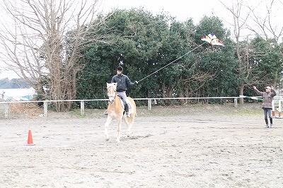 馬と凧揚げ