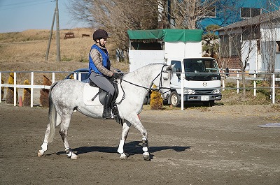 馬に優しい乗馬ができる