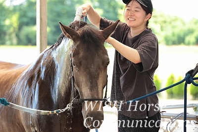 馬との信頼関係