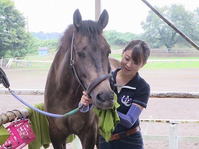馬の喜ぶことをする