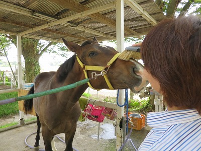 馬が喜ぶ顔