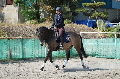 馬と話せる