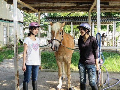 使える乗馬