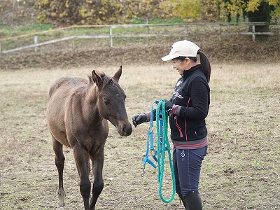 馬と心を通わせるクラブ