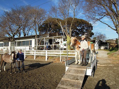 馬とのいろいろ楽しみましょう