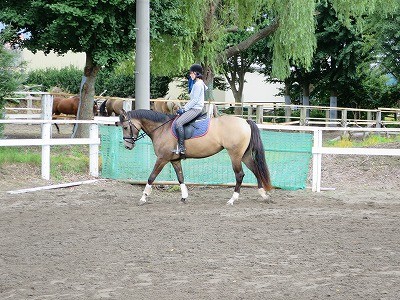 馬を愛そう