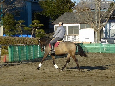 乗馬の様子をビデオで見よう
