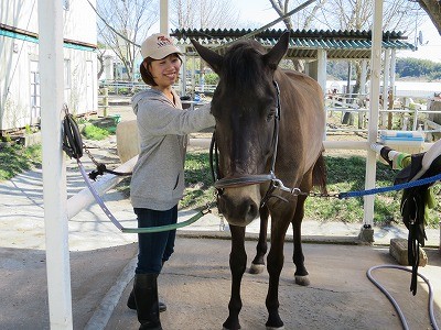 馬とのコミュニケーションを学ぶ