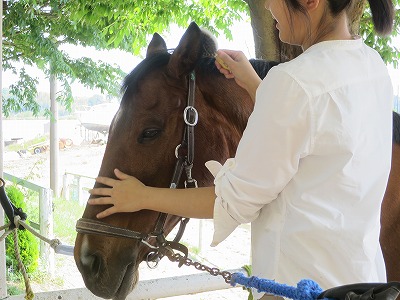 馬に対する真剣さ＝楽しさ