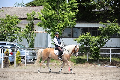 楽しく馬とのコミュニケーションを