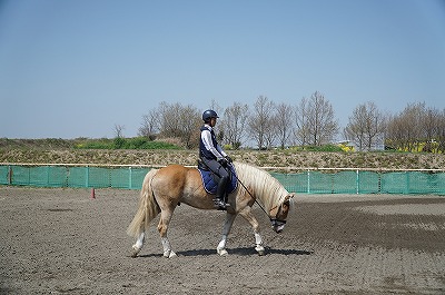 自分のレベルが上がれば馬のレベルも上がる