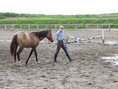 馬とともに成長