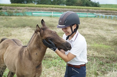 人馬一体はここから