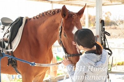 馬との絆