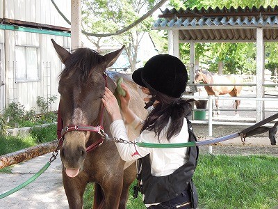 馬が気持ち良くなる手入れ