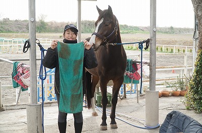 馬の健康あってこその乗馬です