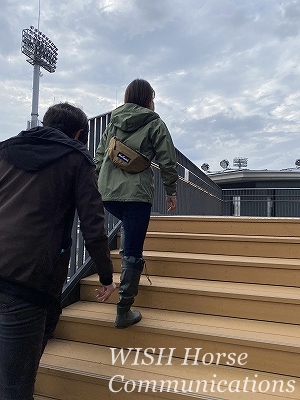 全日本馬場馬術大会