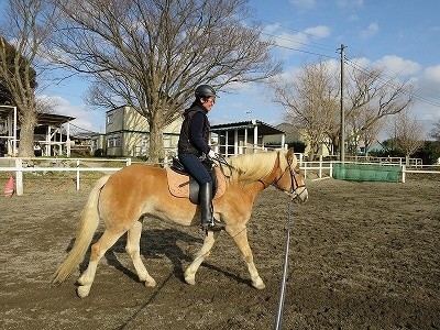 乗馬を始めよう