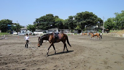 調馬索の練習