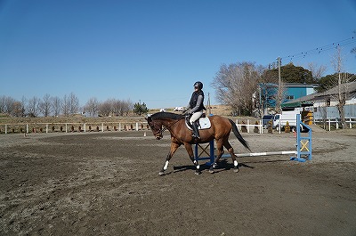 乗馬も基本知識が大切