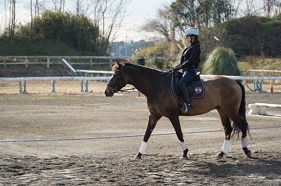 馬会話教室の乗馬