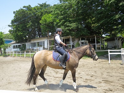 こういう乗馬ができて本当に良かった