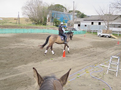 常に馬の心を見つめてる