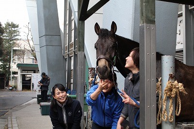 ウィッシュホースコミュニケーションズ競技会