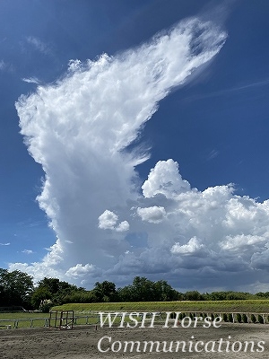 乗馬クラブの空