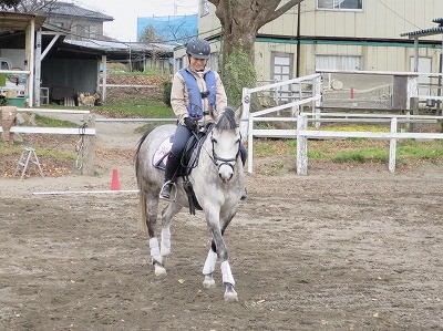 馬場馬術肩を内へ