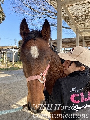 愛情乗馬