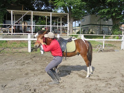新馬調教　馬が照れるまで褒める