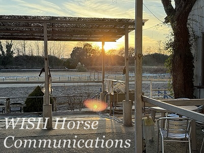 大晦日の夕焼け