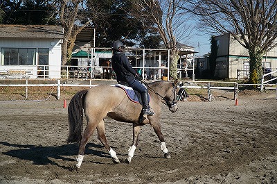 人生で大切なことはすべて馬が教えてくれた