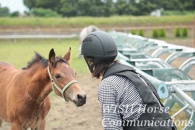 馬を大切にする乗馬