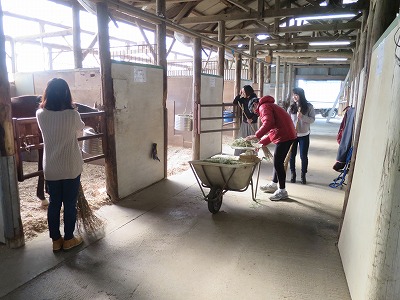 素敵な乗馬体験