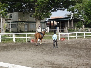 充実の乗馬レッスン