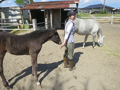 素敵な乗馬体験