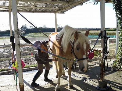 馬と仲良くなる体験乗馬
