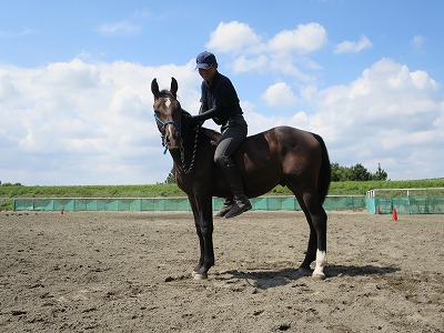 幸せな乗馬体験