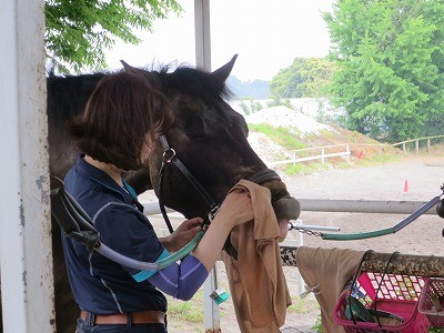 馬を気持ち良くする手入れ