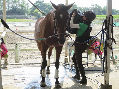 馬にはNOと言う権利がある