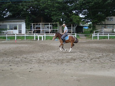 東京競馬場　ディオス