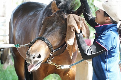 これこそが人馬一体！
