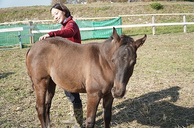 馬も喜ぶお尻かき