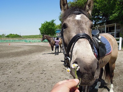 ゴールデンウィークは乗馬