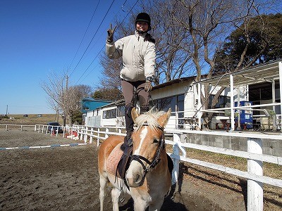 馬と遊べる乗馬クラブへ行こう