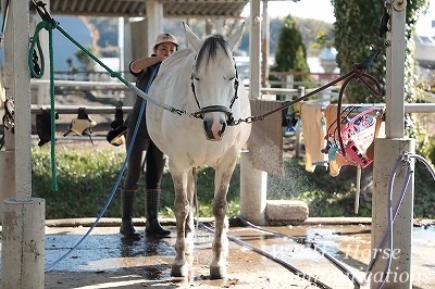 尻尾シャンプー気持ちいい～