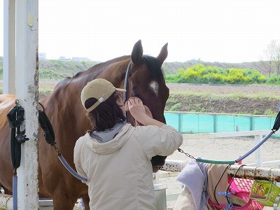 馬の心と寄り添う