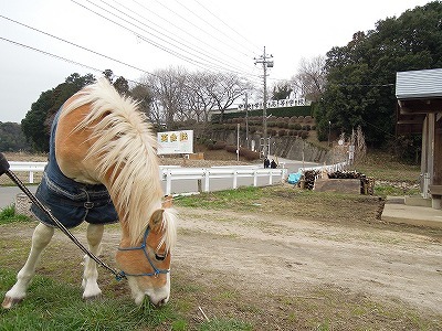 中央学院高校へ馬術部と行ってきた